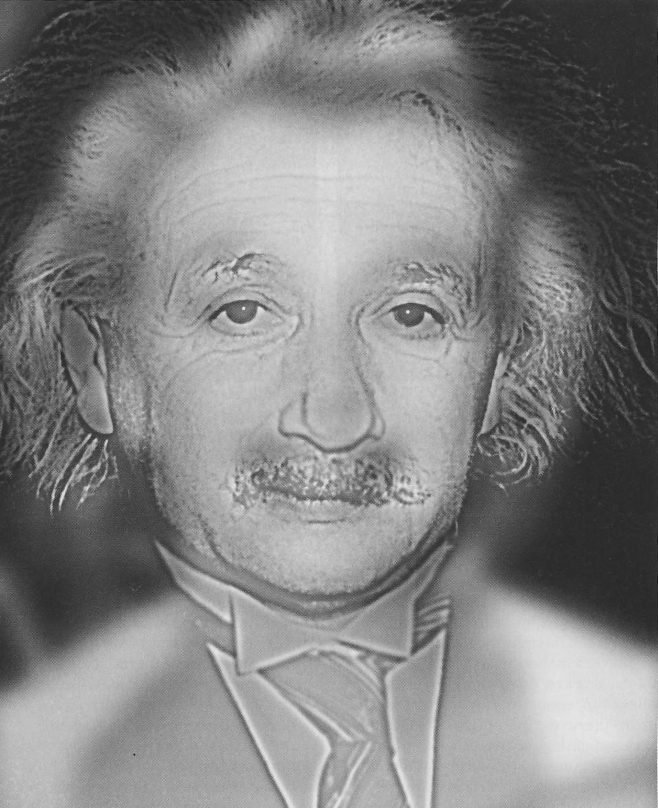Einstein_Monroe