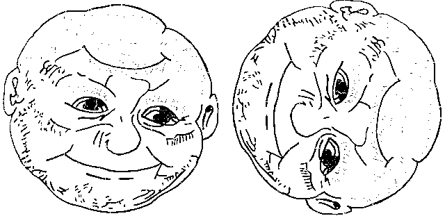 SouriPleure_1_2