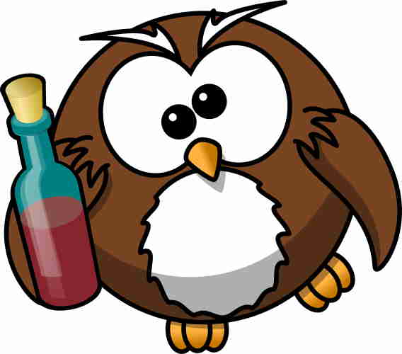 Manipulation 5, supplément : fichier : owl-alcohol_40.jpg de taille : 17'006 octets Sauvegarde au format .jpg, même en basse qualité de 40 donne un fichier plus grand que celui au format .png réduit à 64 couleurs.
